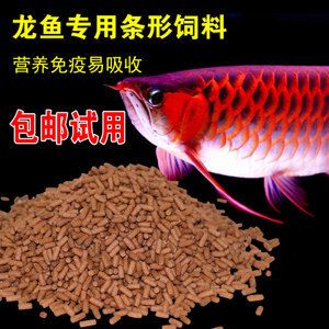 紅龍魚肉可以吃嗎（紅龍魚是否可以食用？） 龍魚百科 第5張