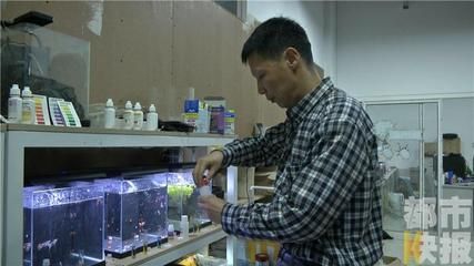 西安魚缸定做祥龍魚場代理店地址（西安觀賞魚市場在哪里-祥龍魚場） 龍魚百科 第4張