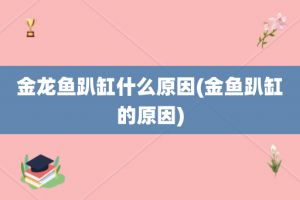 古典金龍魚的飼養(yǎng)環(huán)境要求有哪些（古典金龍魚的飼養(yǎng)環(huán)境）