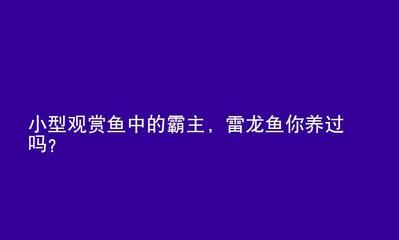 紅龍魚可以養(yǎng)幾年（紅龍魚一般壽命多久） 龍魚百科 第5張