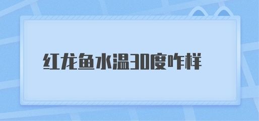 紅龍魚水溫30度可以嗎（紅龍魚水溫30度可以嗎紅龍魚水溫多少合適） 龍魚百科 第5張