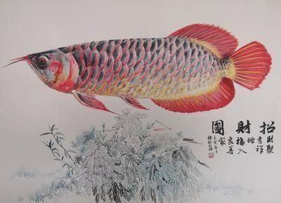 紅龍魚國畫（關(guān)于紅龍魚國畫的幾個(gè)關(guān)鍵點(diǎn)：金甫名是一位知名的藝術(shù)家） 龍魚百科 第2張