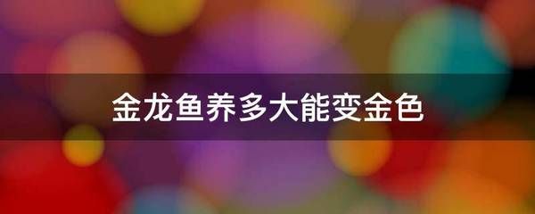 紅尾金龍魚什么時候發(fā)色（關(guān)于紅尾金龍魚發(fā)色的問題） 龍魚百科 第7張