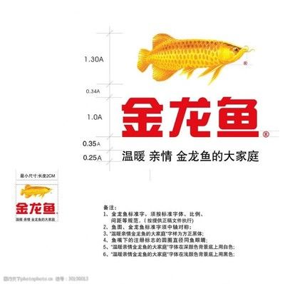 紅色金龍魚(yú)價(jià)格走勢(shì)圖分析最新（紅色金龍魚(yú)價(jià)格-最新紅色金龍魚(yú)價(jià)格-批發(fā)報(bào)價(jià)、價(jià)格大全） 龍魚(yú)百科 第7張