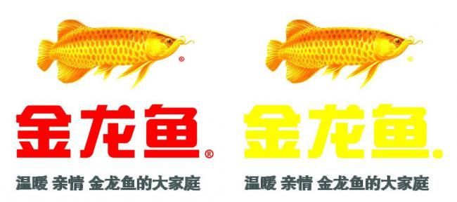 金龍魚 logo（金龍魚logo圖片素材免費下載金龍魚logo素材免費下載） 龍魚百科 第7張