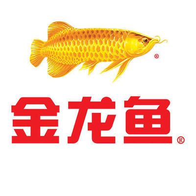 金龍魚 logo（金龍魚logo圖片素材免費下載金龍魚logo素材免費下載） 龍魚百科 第5張