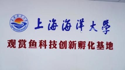 國內(nèi)紅龍魚繁殖基地有哪些（國內(nèi)紅龍魚繁殖基地在哪） 龍魚百科