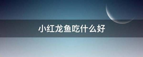 紅龍魚(yú)小魚(yú)如何挑選（如何挑選小紅龍魚(yú)） 龍魚(yú)百科 第5張