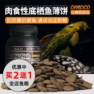 紅龍魚(yú)吃飼料怎么辦（紅龍魚(yú)吃飼料的方法）