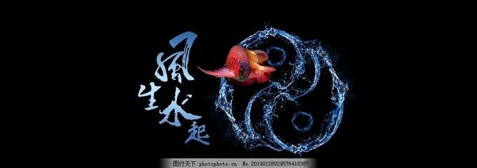 紅龍魚缸背景（養(yǎng)紅龍魚用什么背景好360問答） 龍魚百科 第3張