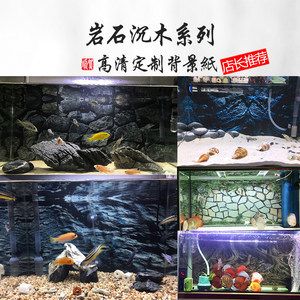 紅龍魚缸背景圖選擇哪種（關(guān)于紅龍魚缸背景圖選擇的建議） 龍魚百科 第4張