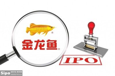 金龍魚 ipo（卷入油罐車事件的金龍魚） 龍魚百科 第2張