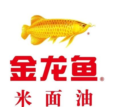 金龍魚 ipo（卷入油罐車事件的金龍魚） 龍魚百科 第7張