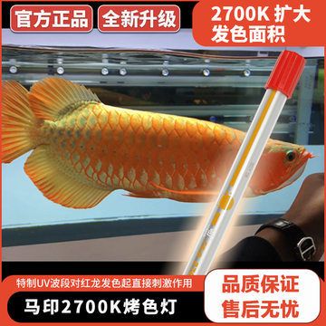 紅龍魚缸能放鹽嗎（關(guān)于紅龍魚缸放鹽的問題） 龍魚百科 第4張