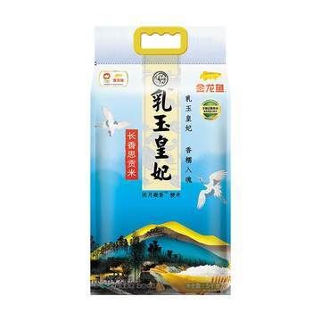 金龍魚30厘米價格多少錢一條（30厘米的金龍魚價格多少錢一條360問答） 龍魚百科 第6張