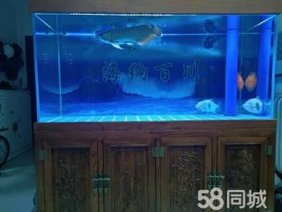 金龍魚20厘米用多大魚缸養(yǎng)（養(yǎng)20公分金龍魚需要多大魚缸） 龍魚百科 第5張