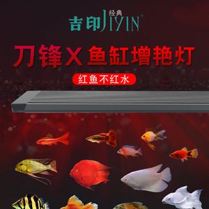 紅龍魚缸燈最佳擺放：紅龍魚燈光的選擇和使用方法