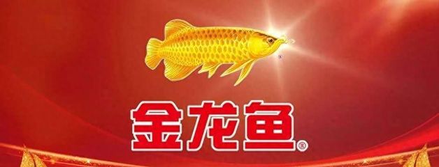 金龍魚吃食不猛怎么辦：金龍魚食欲不好怎么辦360問答360問答