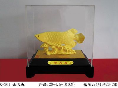 金龍魚包裝供應商 龍魚百科 第2張