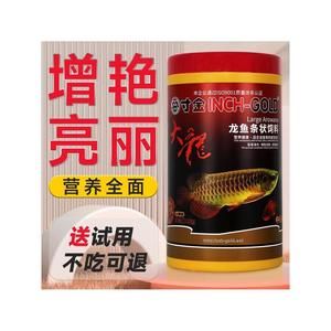 金龍魚吃蝦干吃了又吐了：金龍魚吃蝦后嘔吐怎么辦 龍魚百科