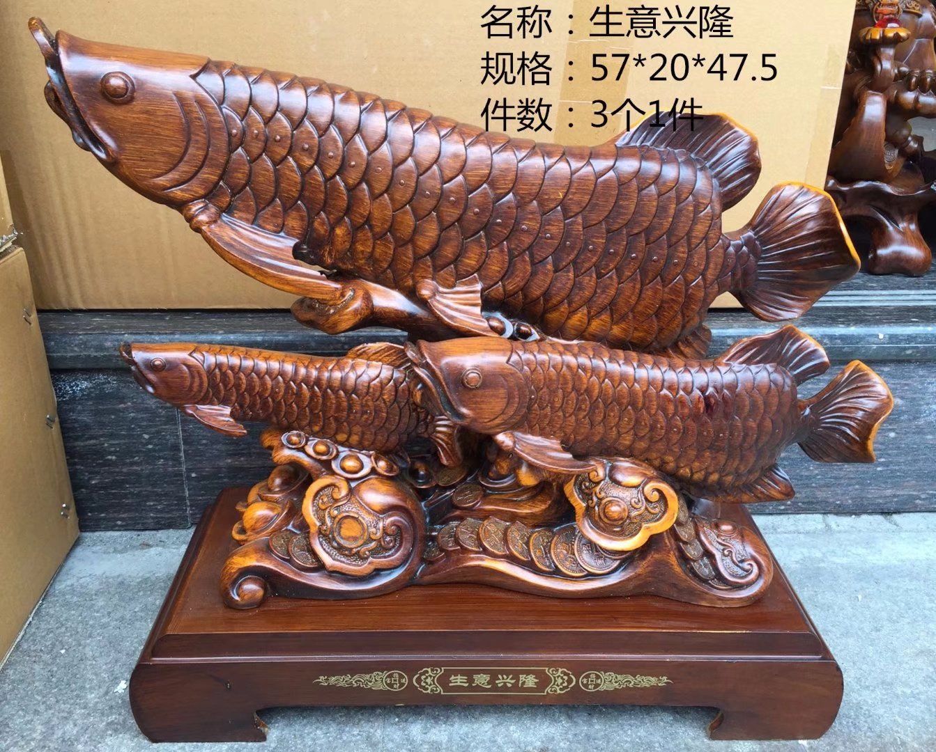 金龍魚尺寸怎么量出來的：金龍魚尺寸測量方法 龍魚百科 第7張