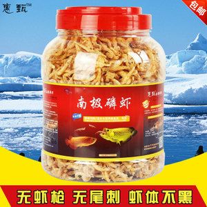 金龍魚吃什么食料最好 龍魚百科 第1張