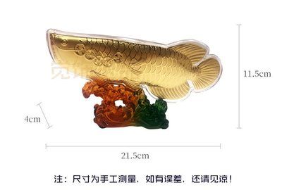 金龍魚尺寸怎么量的：關(guān)于金龍魚尺寸的問題