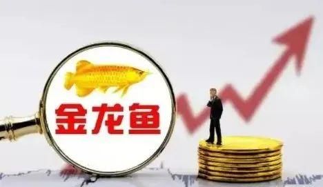 金龍魚尺寸怎么量的：關(guān)于金龍魚尺寸的問題