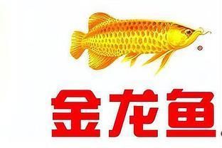 金龍魚暴漲：關(guān)于金龍魚暴漲的一些情況 龍魚百科 第4張