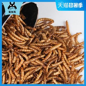 金龍魚吃了面包蟲后偏吃怎么辦：金龍魚吃面包蟲多了,現(xiàn)在不吃東西乙,怎么辦 龍魚百科 第3張