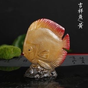 金龍魚變色的階段：金龍魚為什么會變色 龍魚百科 第4張