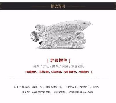 金龍魚擺件放在家里什么位置好：金龍魚擺件怎么擺放位置 龍魚百科 第5張