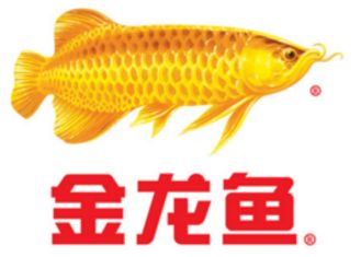 金龍魚不夠金黃能吃嗎：金龍魚不夠金黃怎么辦 龍魚百科 第6張