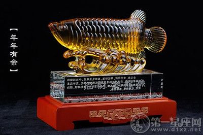 金龍魚(yú)擺件的擺放禁忌：招財(cái)龍魚(yú)擺件擺放禁忌 龍魚(yú)百科 第7張