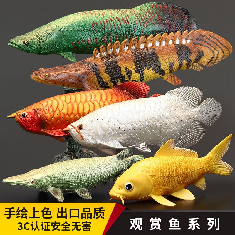 金龍魚吃啥上色快一點(diǎn)：金龍魚吃什么上色快