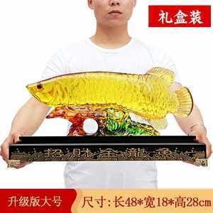 金龍魚尺寸分類表：金龍魚尺寸分類 龍魚百科 第6張