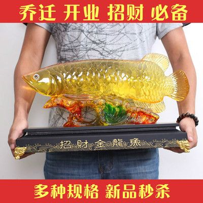 金龍魚尺寸分類表：金龍魚尺寸分類 龍魚百科 第5張