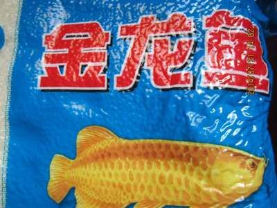 金龍魚便宜了：揭秘金龍魚繁殖全過(guò)程 龍魚百科 第4張