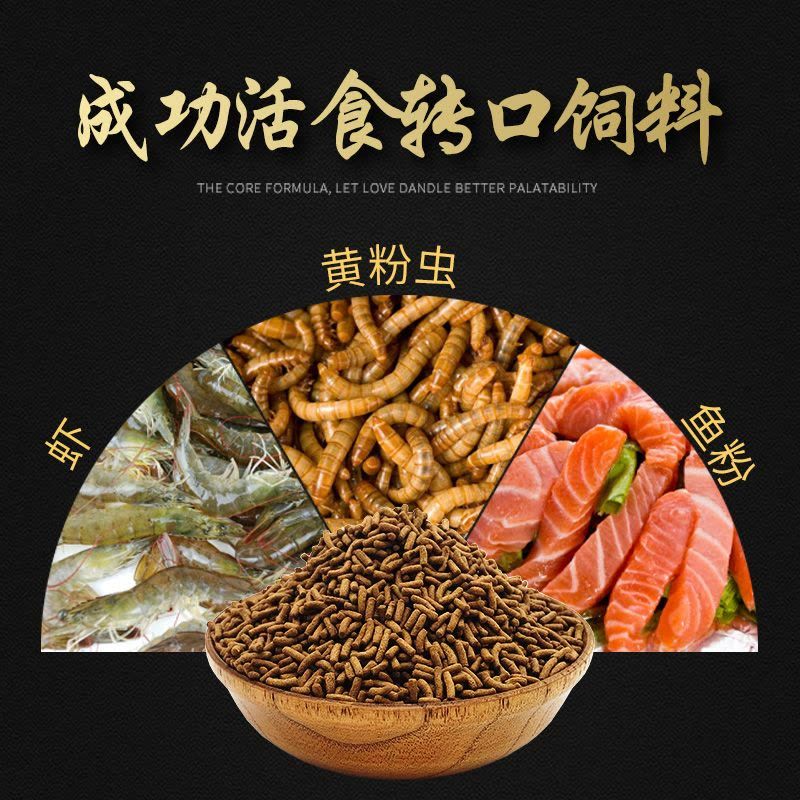 金龍魚吃活食好還是死食好：關(guān)于金龍魚應(yīng)該喂食活食還是死食 龍魚百科 第6張