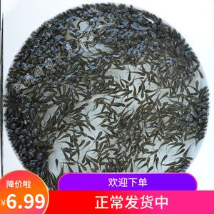 金龍魚吃泥鰍好還是魚苗好：金龍魚吃泥鰍好還是魚苗好龍魚吃泥鰍好 龍魚百科 第4張