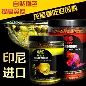 金龍魚愛吃什么魚食：關于金龍魚食物偏好的詳細信息