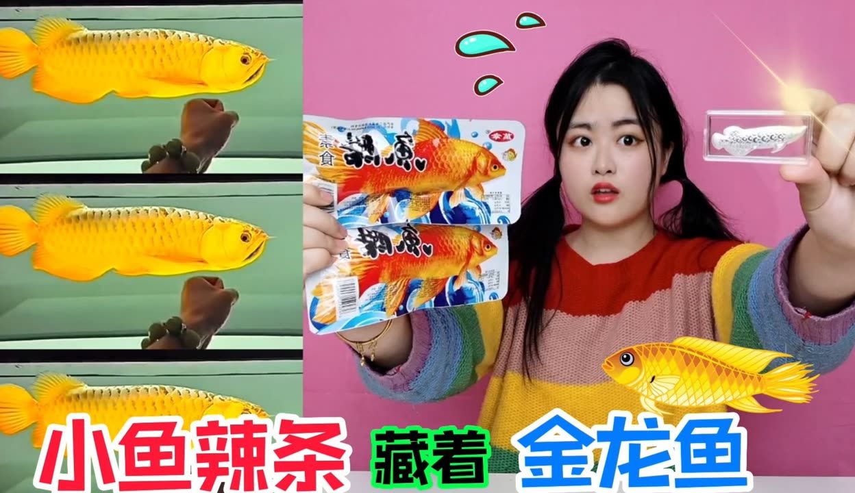 金龍魚吃不吃小魚：關(guān)于金龍魚吃不吃小魚的詳細(xì)解釋金龍魚吃小魚怎么辦 龍魚百科 第1張