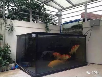 魚缸需要留進水口嗎（魚缸是否需要留進水口的問題） 魚缸風水 第6張