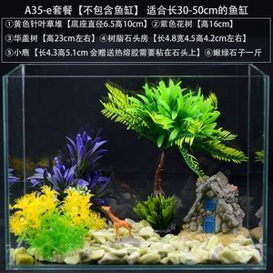 魚(yú)缸裝飾水草（深圳魚(yú)悅水族告訴你魚(yú)缸種植水草栽種注意事項(xiàng)） 魚(yú)缸風(fēng)水 第3張