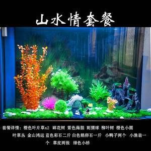 魚(yú)缸裝飾水草（深圳魚(yú)悅水族告訴你魚(yú)缸種植水草栽種注意事項(xiàng)） 魚(yú)缸風(fēng)水 第7張