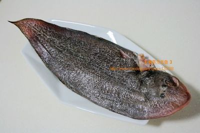 潮汕龍魚是什么魚（潮汕哪里的龍魚性價(jià)比較高？） 魚缸風(fēng)水 第4張