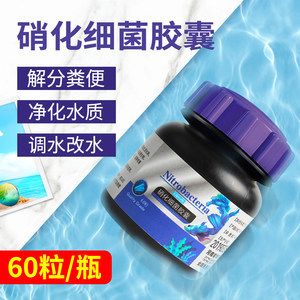 魚缸裝修改水（怎么給魚缸換水） 魚缸風(fēng)水 第2張