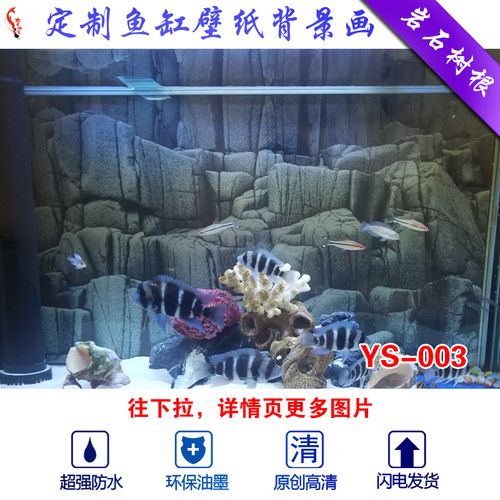 大型龍魚缸用什么背景（龍魚缸用什么顏色的背景好） 魚缸風(fēng)水 第2張