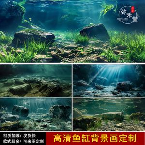 大型龍魚缸用什么背景（龍魚缸用什么顏色的背景好） 魚缸風(fēng)水 第7張