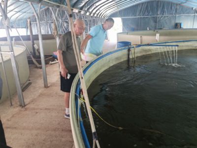 出龍魚飼料公司（2023年龍魚飼料品牌排行榜） 魚缸風(fēng)水 第4張